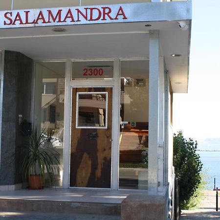 Salamandra Apartamentos El Calafate Eksteriør bilde